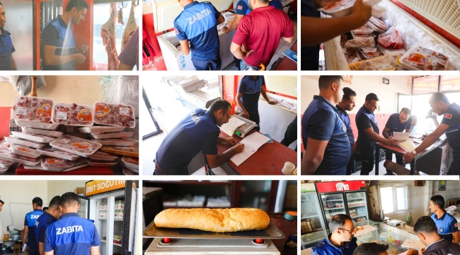 Harran'da denetimler aralıksız sürüyor