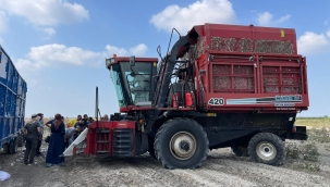 Pamuk'ta makineli hasat eğitimi yaygınlaşıyor