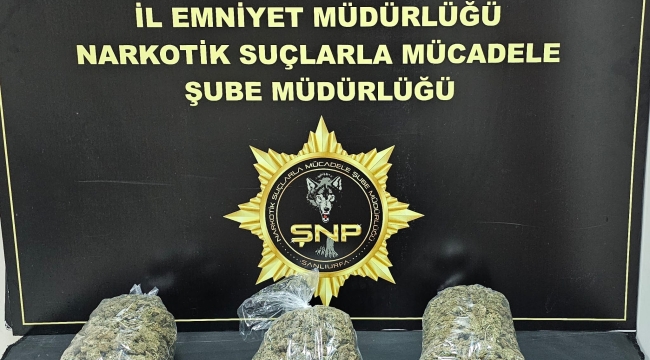Şanlıurfa'da 2 kilo 950 gram skunk maddesi ele geçirildi