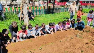 Şanlıurfa' da öğrenciler minik elleriyle organik ürünler yetiştirdi