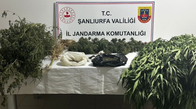 Şanlıurfa'da uyuşturucu operasyonu: 9 gözaltı