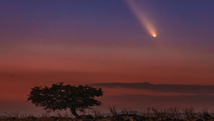 Siverek'te görüntülendi...