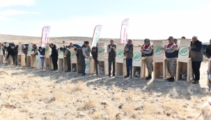 Urfa Ceylanları doğayla buluşmaya devam ediyor