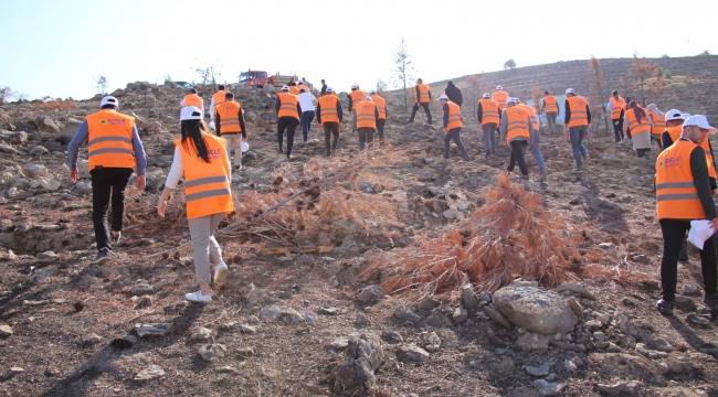 DEPSAŞ Enerji'den Geleceğe Yeşil Miras: 3 Bin Fidan Toprakla Buluşuyor
