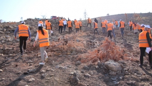 DEPSAŞ Enerji'den Geleceğe Yeşil Miras: 3 Bin Fidan Toprakla Buluşuyor