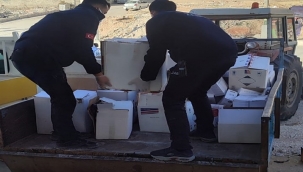 Haliliye'de 2 ton sahte zirai ilaç ele geçti