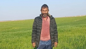 Harran'da elektrik akımına kapılan 1 kişi hayatını kaybetti