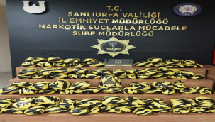 Şanlıurfa'da 55 kilogram skunk ele geçirildi!