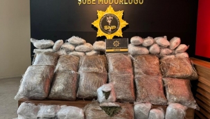 Şanlıurfa'da 76 kilo 550 gram skunk ele geçirildi