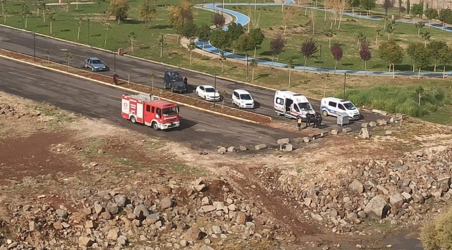 Şanlıurfa'da ağaca asılı halde bulundu 