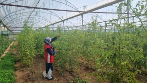 Şanlıurfa'da "Alo Ziraat Doktorum" Toprak tahlili yaptırın