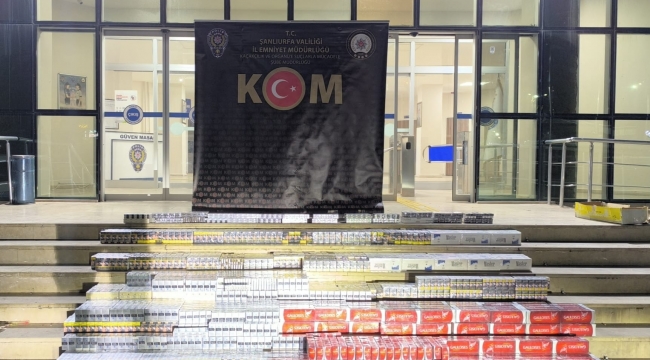 Şanlıurfa'da büyük operasyon!