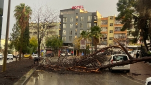 Şanlıurfa'da yağmur ve rüzgar etkili oldu 