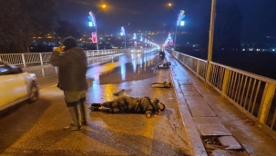 Birecik'te yaya yaralandı, sürücü olay yerinden kaçtı