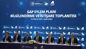 Cumhurbaşkanı Yardımcısı Yılmaz, "GAP Eylem Planı ve İstişare Toplantısı"nda konuştu