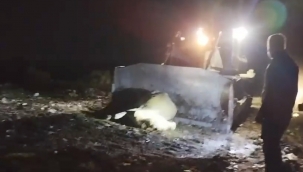 Haliliye'de el konulan ölü büyükbaş hayvan imha edildi 