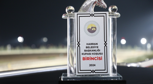 Harran Belediyesi Koşusunu "Taşkayalar" Kazandı