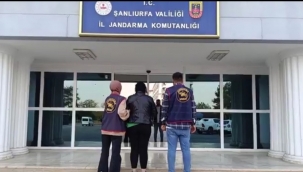 Şanlıurfa'da çeşitli suçlardan aranan 12 şüpheli yakalandı 