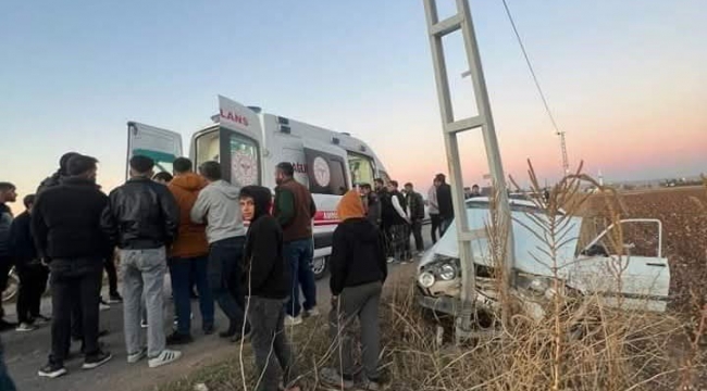 Şanlıurfa'da otomobil elektrik direğine çarptı 