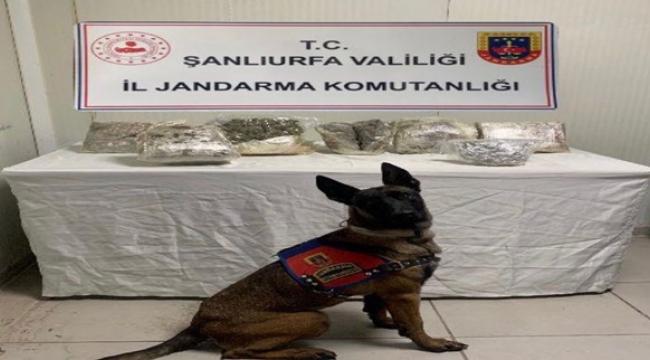 Şanlıurfa jandarmadan başarılı operasyon!