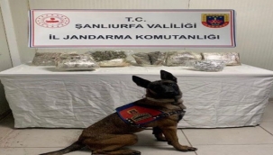 Şanlıurfa jandarmadan başarılı operasyon!