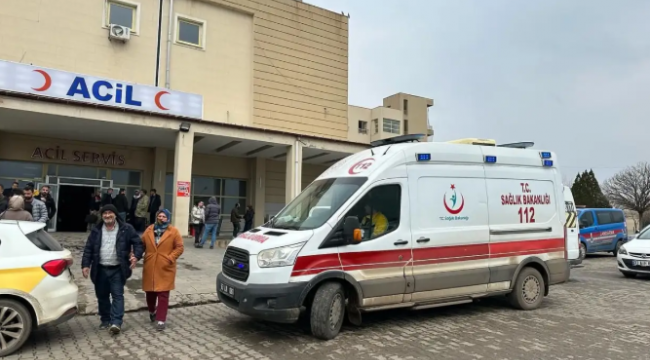 Siverek'te otomobil istinat duvarına çarptı: Sürücüsü öldü, eşi yaralandı