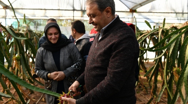 Vali Şıldak'tan üreticilere müjdeli haber 