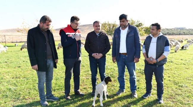 Vali Şıldak üretici buluşmaları devam ediyor 