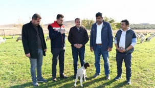 Vali Şıldak üretici buluşmaları devam ediyor 