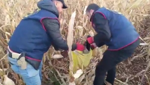 Viranşehir'de silah kaçakçılarına operasyonu: Çok sayıda gözaltı  