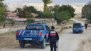 Birecik'te çok sayıda kaçak yollarla kesilmiş küçükbaş havyan ele geçirdi