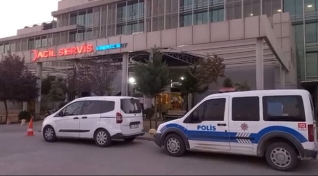 Birecik'te iki minibüs çarpıştı: 8 yaralı
