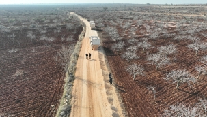 Büyükşehir Belediyesi, Birecik ve Halfeti'de Güvenli Ulaşım İçin Çalışıyor