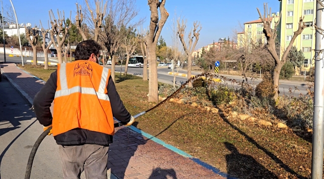 Eyyübiye'nin Yeşil Alanlarına Özenli Bakım