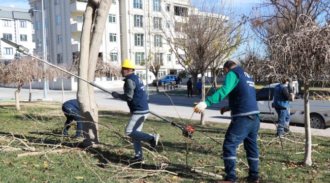 Haliliye'de 203 Park ve Sokaklarda Hummalı Peyzaj Çalışmaları 