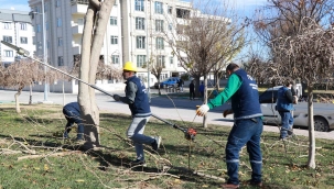 Haliliye'de 203 Park ve Sokaklarda Hummalı Peyzaj Çalışmaları