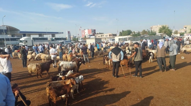 Şanlıurfa'da Bir Hayvan Pazarı Daha Kapatıldı
