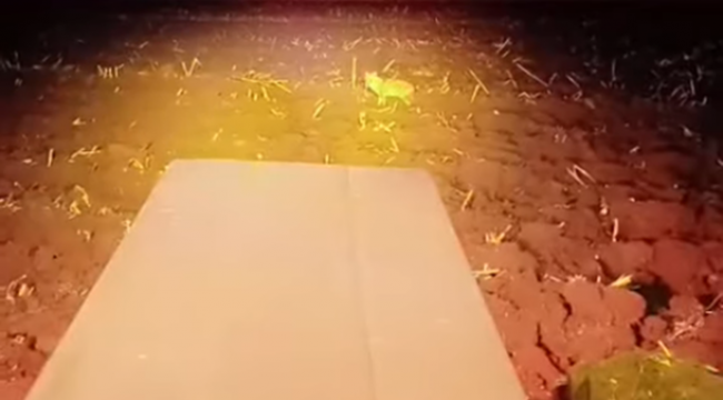 Şanlıurfa'da Çiftçi, Tarladan Çıkanı Görünce Neye Uğradığını Şaşırdı!
