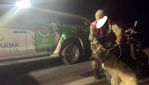 Şanlıurfa'da meydana gelen olay tepki topladı