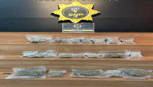 Şanlıurfa'da uyuşturucu operasyonu, 1 tutuklama