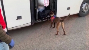 Şanlıurfa'da uyuşturucu operasyonu, 22 gözaltı 