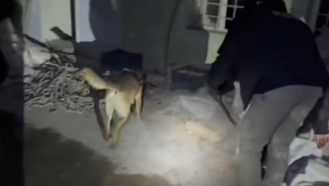 Şanlıurfa merkez ve ilçelerde uyuşturucu operasyonu: 25 tutuklama