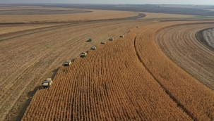 TİGEM personel alacak!