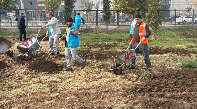 Yemyeşil Eyyübiye İçin Sahadalar