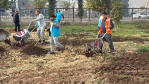 Yemyeşil Eyyübiye İçin Sahadalar