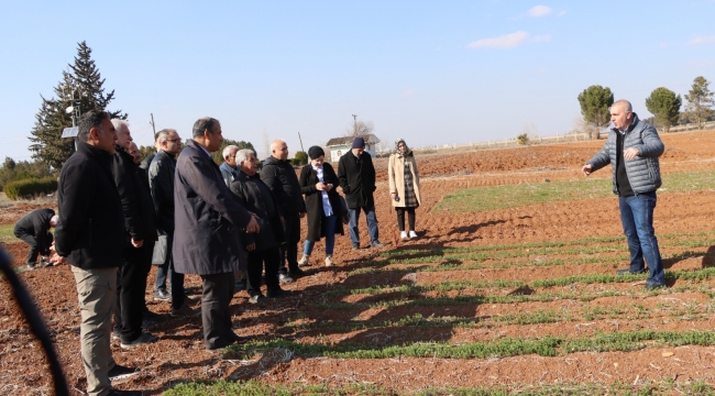 Büyükşehir Belediyesi, Çiftçilere Anıza Ekim Yöntemleri Eğitimi Verdi
