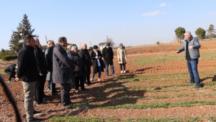 Büyükşehir Belediyesi, Çiftçilere Anıza Ekim Yöntemleri Eğitimi Verdi
