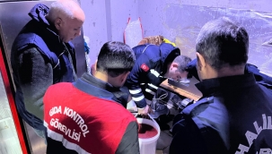 Haliliye'de Son Kullanma Tarihi Geçmiş Kilolarca Salça Ele Geçirdi