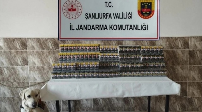 Şanlıurfa'da çok sayıda kaçak sigara ele geçirildi