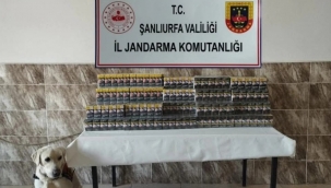 Şanlıurfa'da çok sayıda kaçak sigara ele geçirildi